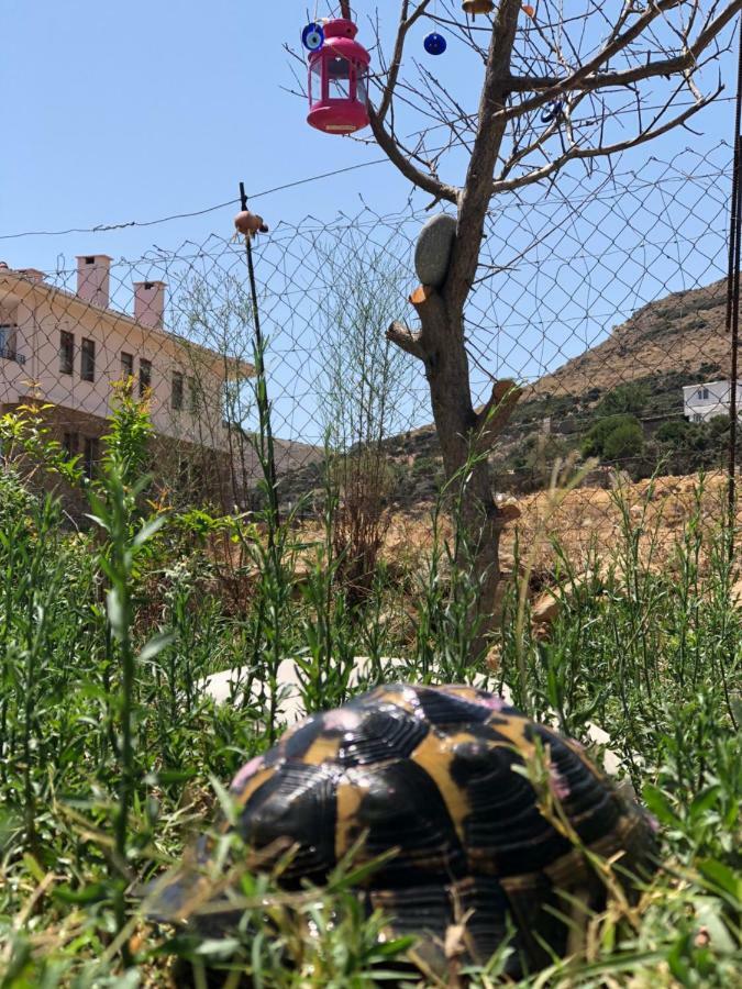 Goekceada Ugurlu Apart מראה חיצוני תמונה